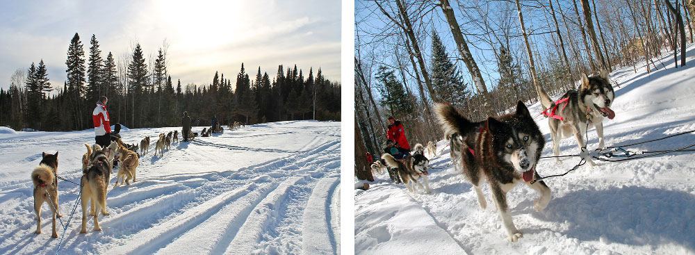 Balades en traîneaux à chiens au Québec