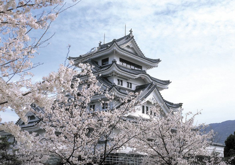 Cerisiers en fleur au château de Tokushima sur l'île de Shikoku - Japon © Tokushima Prefecture/JNTO Japan National Tourism Organization OT