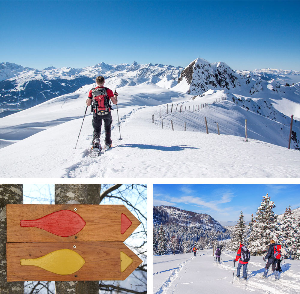 1) Randonnée à raquette au Mont-Blanc dans les Alpes2) Panneau de signalisation d'itinéraires de raquettes à neige en France3) Randonnée en raquette en France