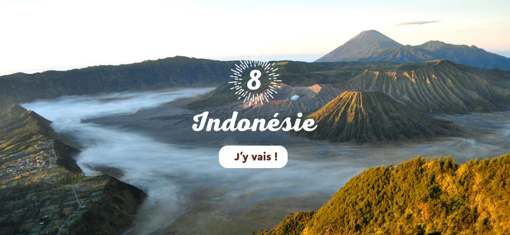 Vue sur le volcan Bromo sur l'île de Java en Indonésie