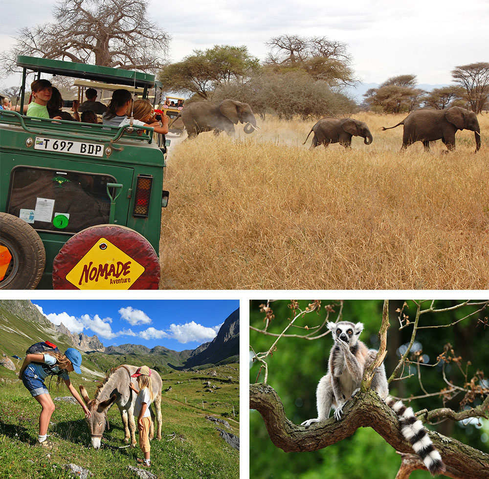 1. Safari en famille en Tanzanie2. Rando avec un âne3. Lémurien Maki catta à Madagascar