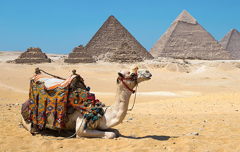 Guide de voyage