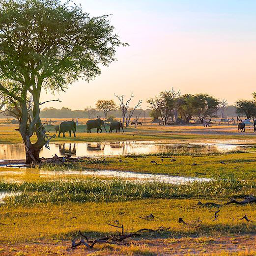 Zimbabwe